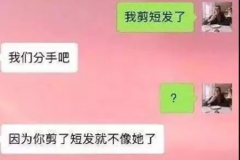 合阳工资清欠服务